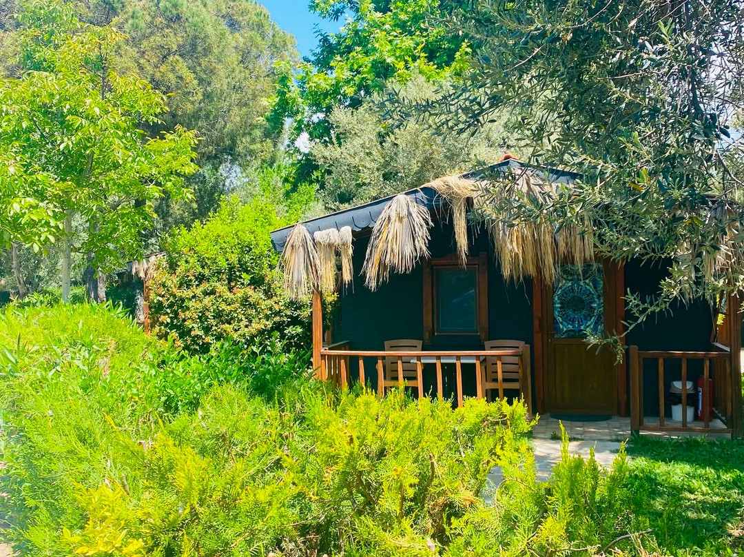 Ida Marin Family Resort