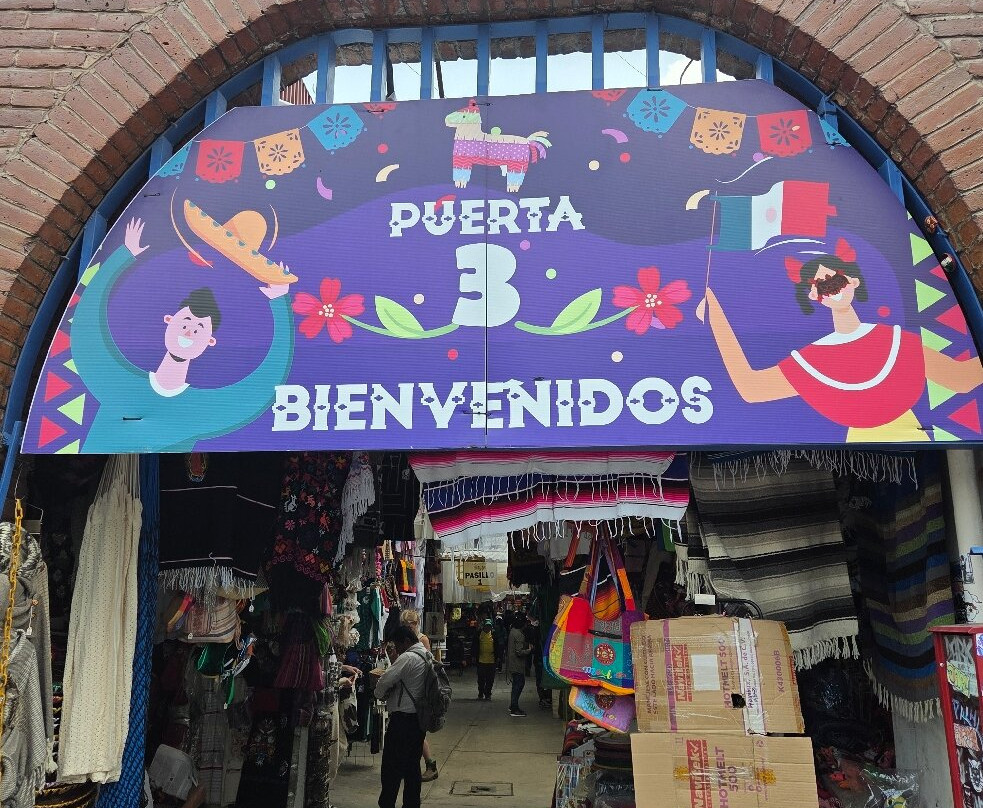 Mercado De Artesanias La Ciudadela-墨西哥城必去景点