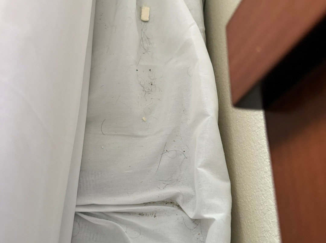萨莱纳北舒适套房酒店主图