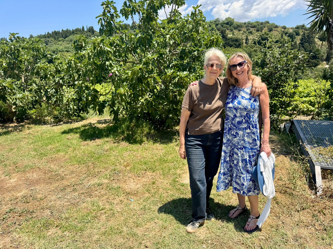 Haritatos Vineyard