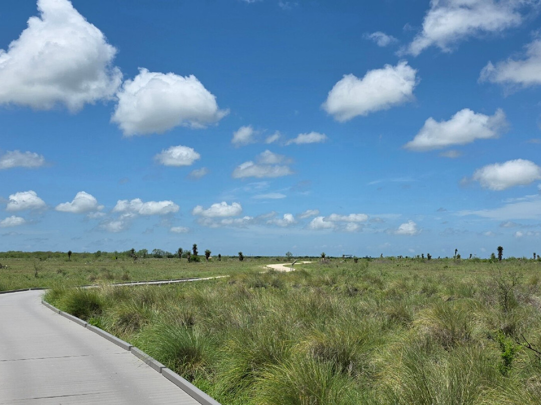 Palo Alto Battlefield National Historical Park-布朗斯维尔必去景点