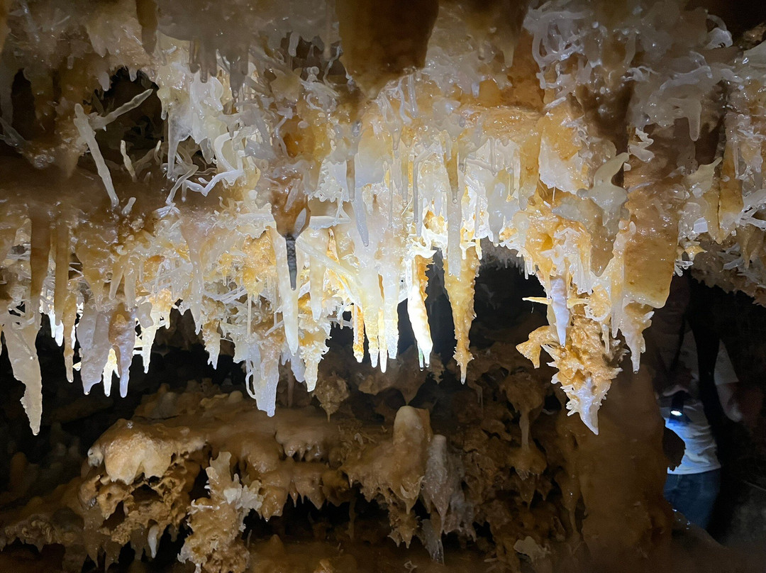 Grotte du Grand Roc-Les Eyzies-de-Tayac-Sireuil必去景点