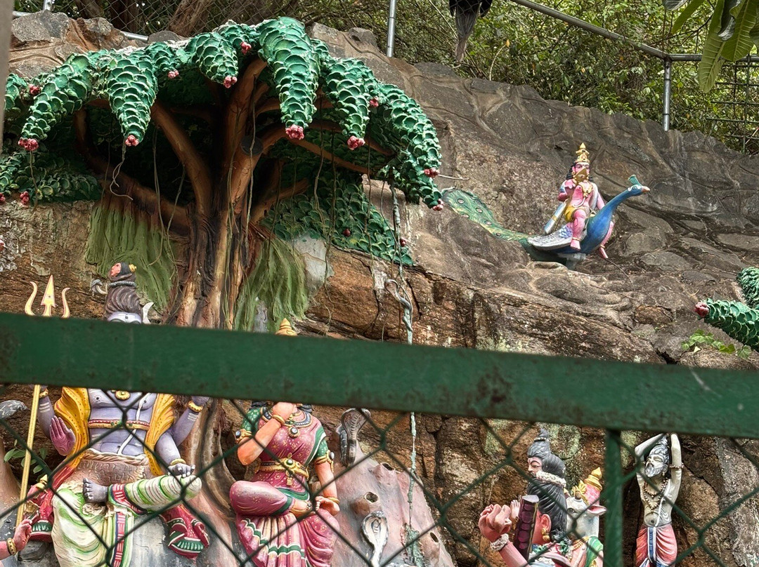 Visit In Lanka-尼甘布必去景点