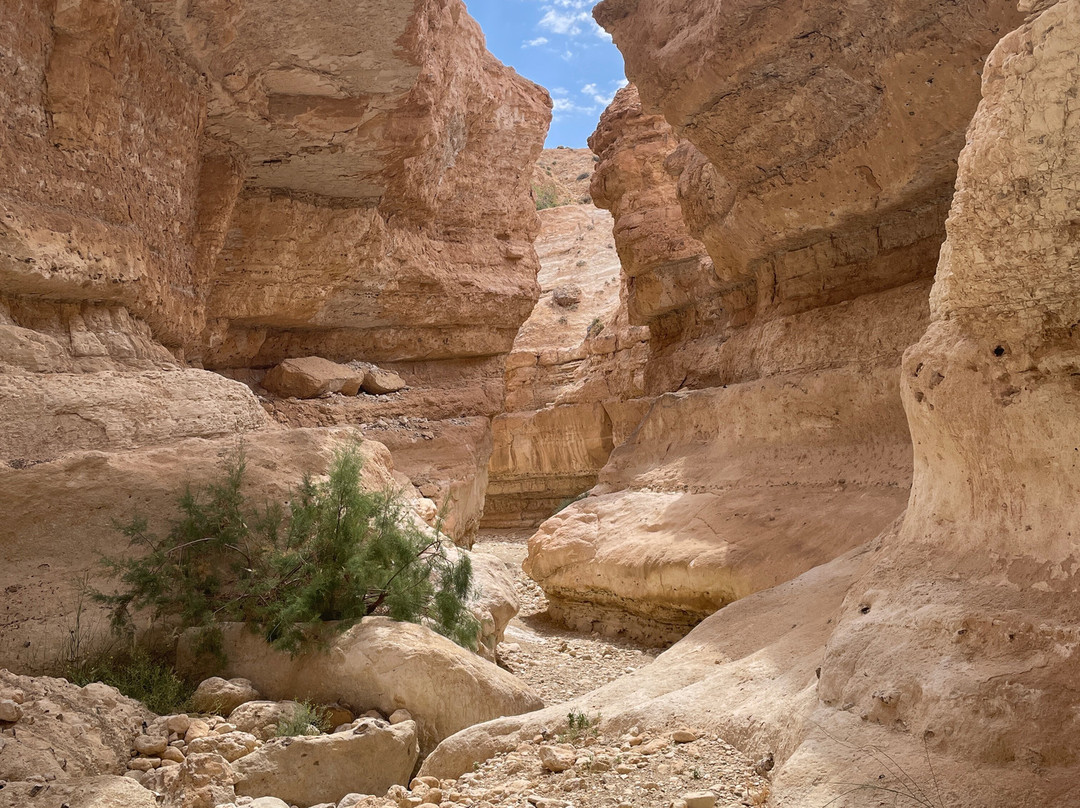 Tamerza Canyon-吐泽尔必去景点