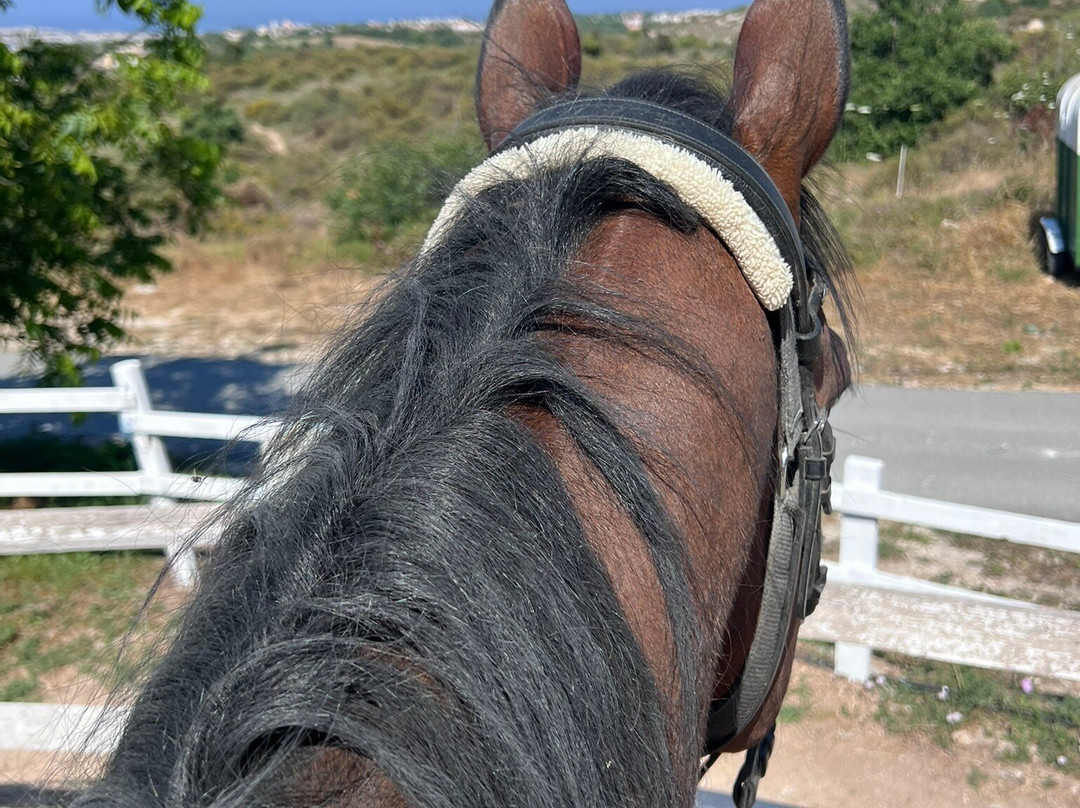 Horse Riding Paphos - Eagle Mountain Ranch-帕福斯必去景点