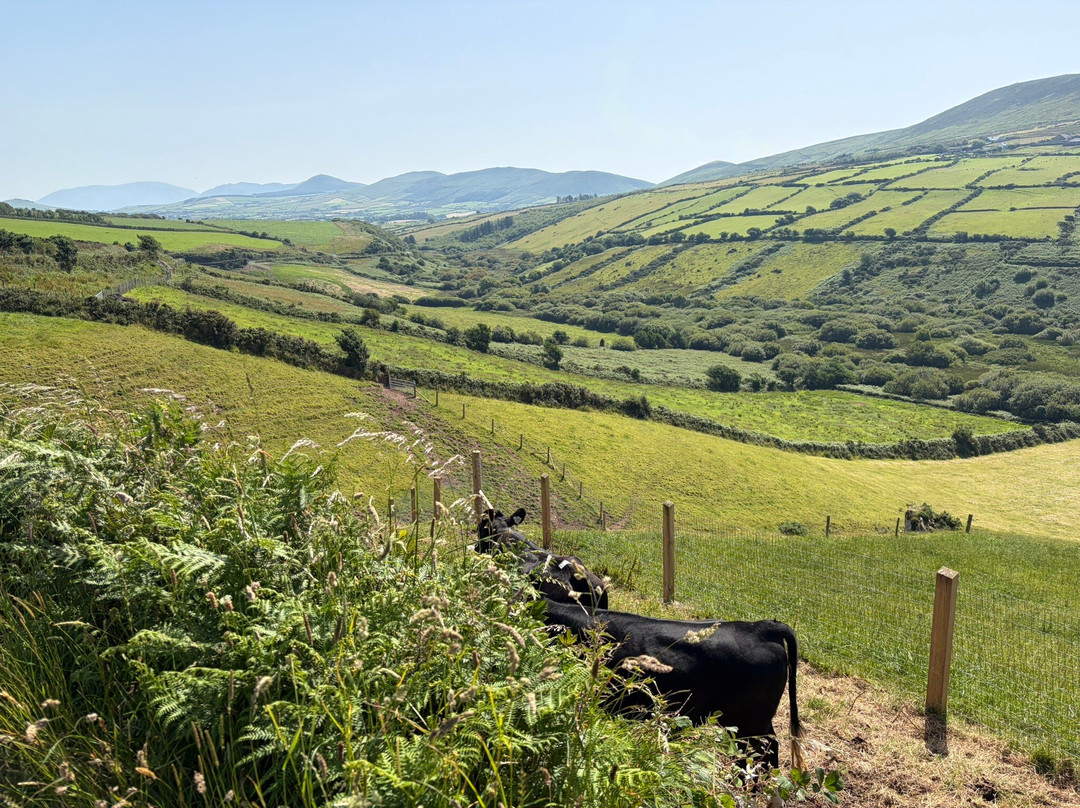 Kerry Experience Tours-Sneem必去景点