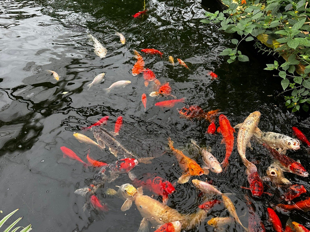 Butterfly World & Farm Park-Wanborough必去景点