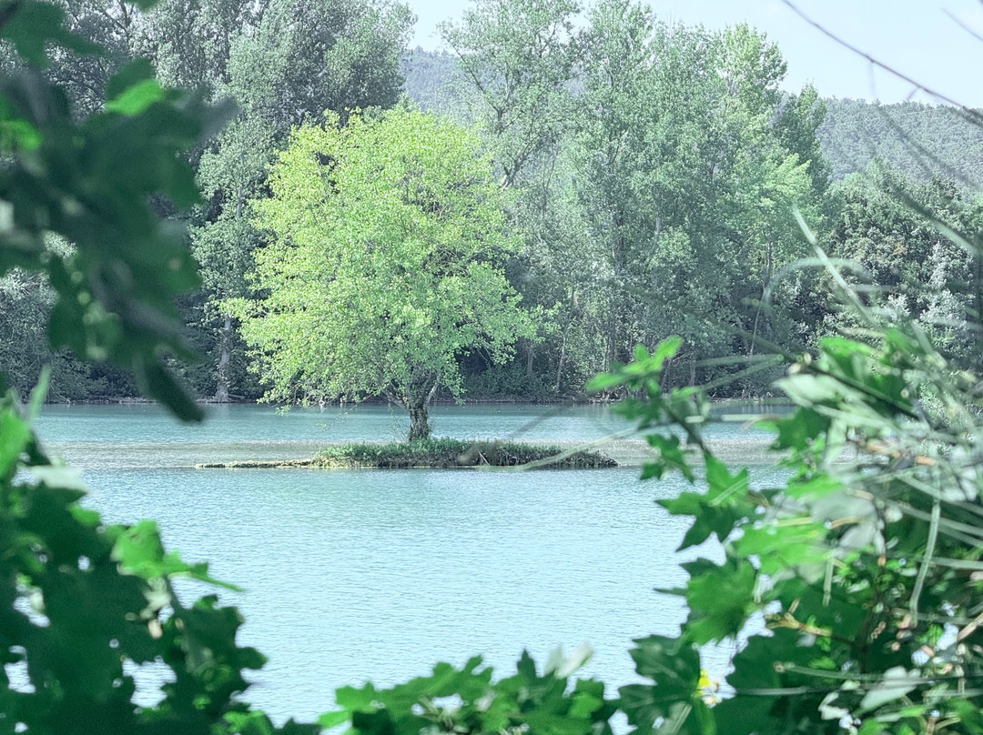 Birding In Italy-Capolona必去景点