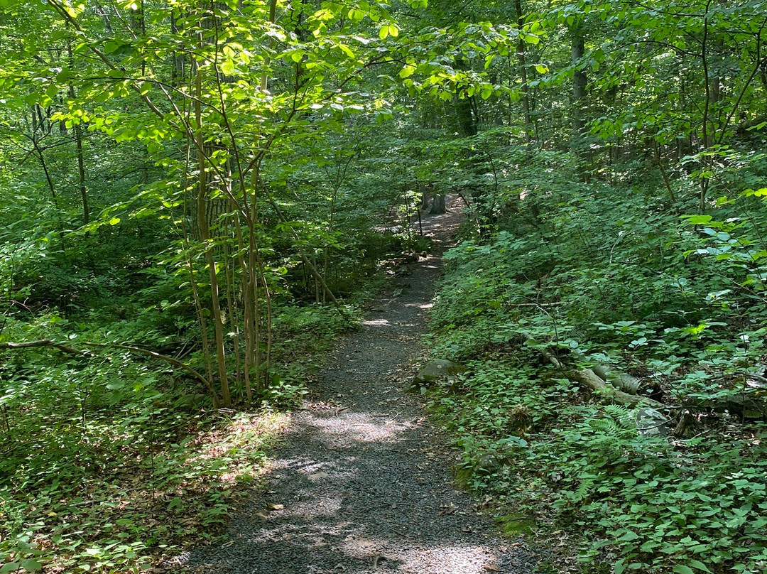 Dinosaur State Park & Arboretum-罗基希尔必去景点