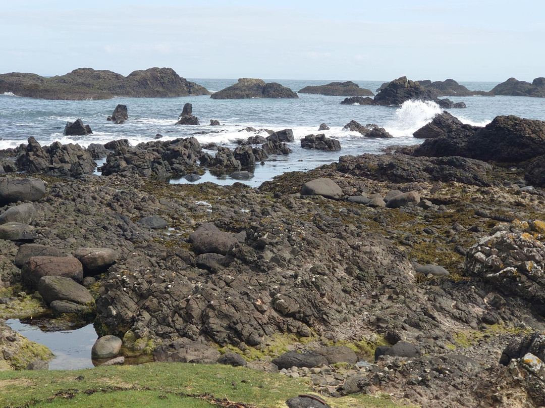 Ballintoy Harbour-Ballintoy必去景点