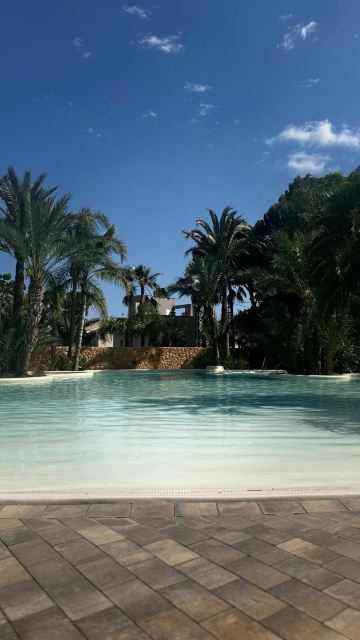 拉努西亚巴塞罗棕榈酒店-旅行者