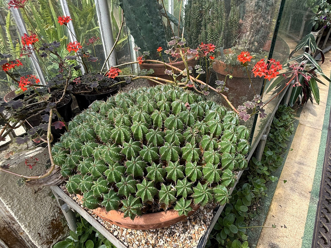 Botanic Gardens-贝尔法斯特必去景点