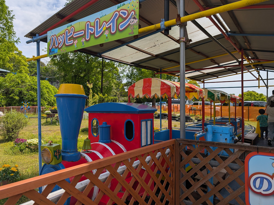 Japan Monkey Park-犬山市必去景点