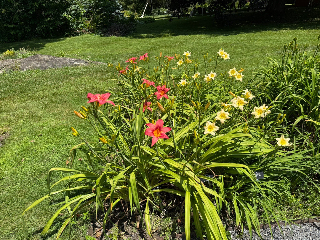 Berkshire Botanical Garden-Stockbridge必去景点