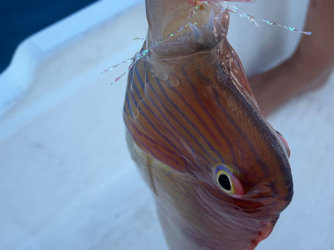 Rethymno Fishing Trip The Lucky Hook-雷斯蒙必去景点