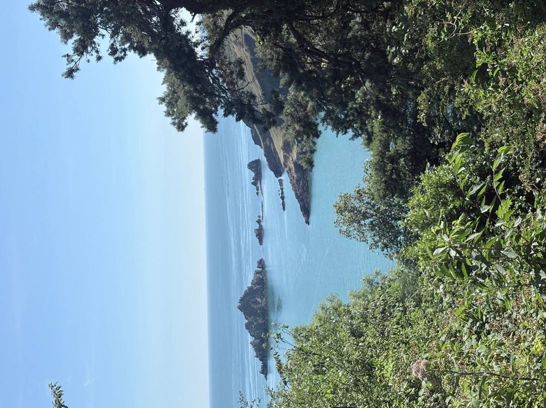 三叶旅馆主图