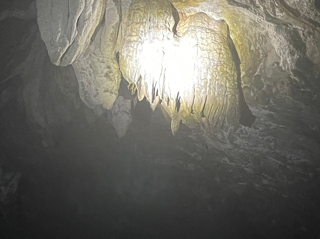 Penn's Cave & Wildlife Park-中心大厅必去景点