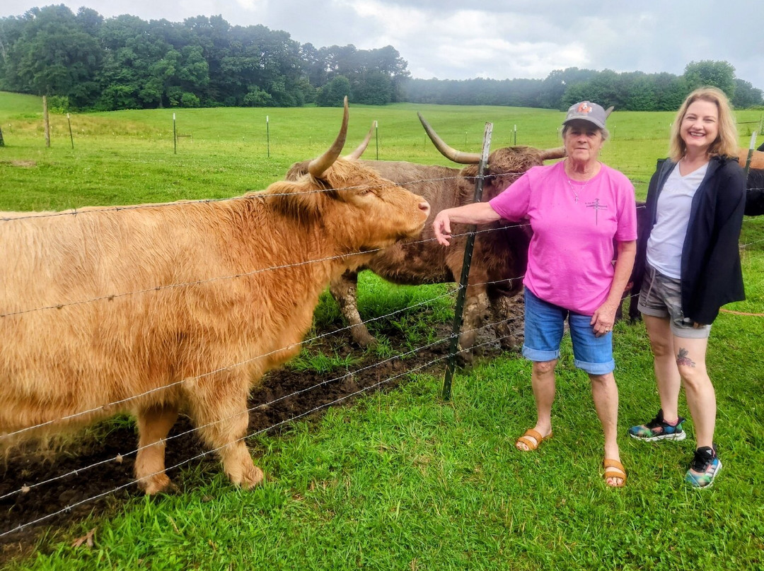 Little Tail Farms-Dunlap必去景点