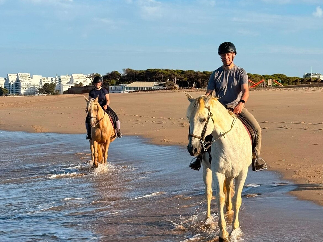 Clube Equestre A Palmeirinha-Almancil必去景点