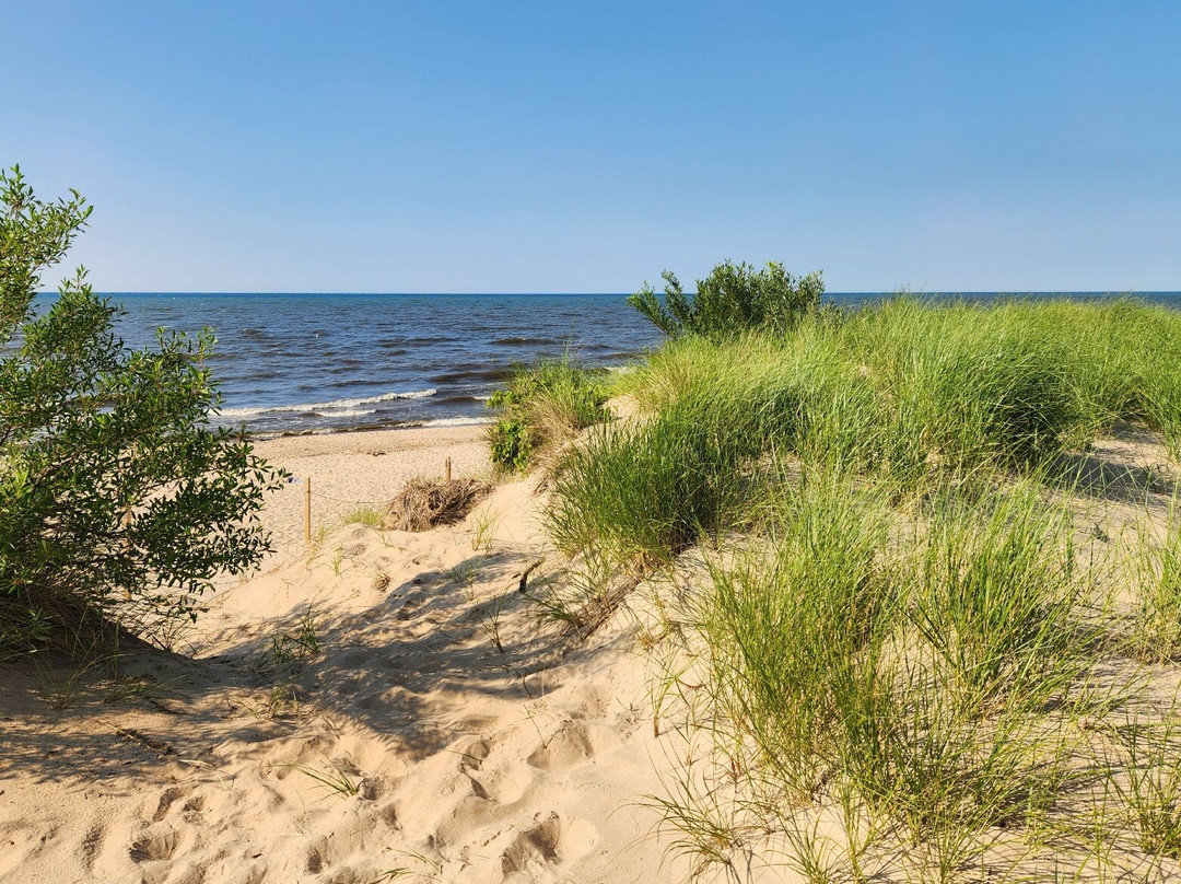 Dune Succession Trail-盖里必去景点