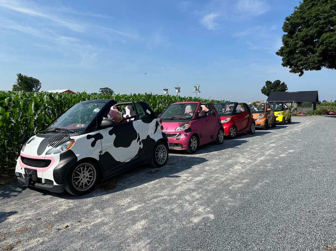 Strasburg Scooters & Tours-Strasburg必去景点