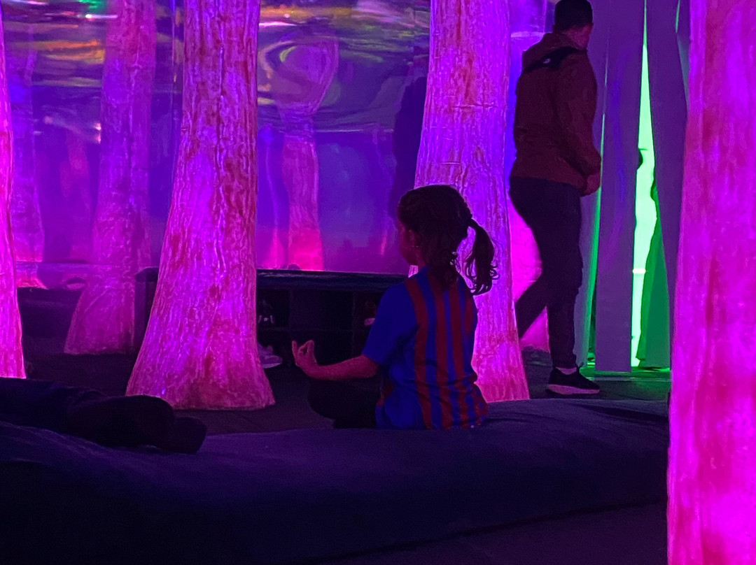 Dopamine Land Santiago: A multisensory experience-Providencia必去景点