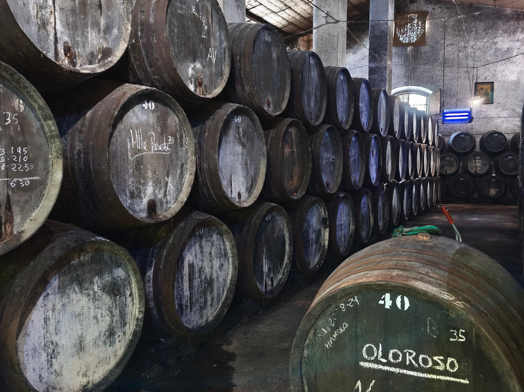 Bodegas Baron-Sanlucar de Barrameda必去景点