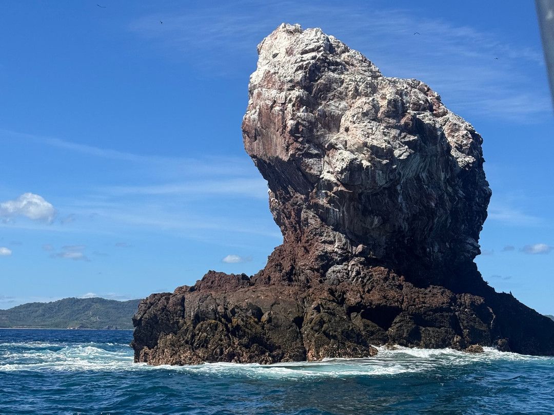 Matt's Fishing & Tours-萨迪纳尔必去景点