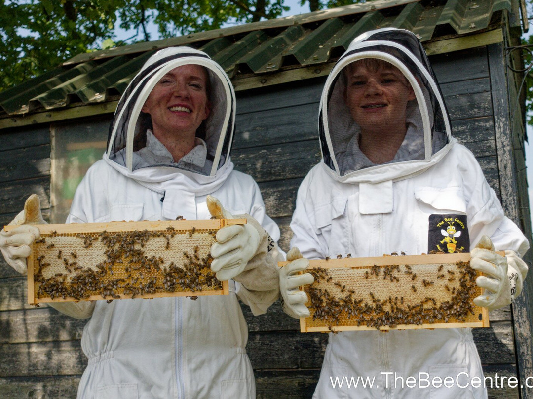 The Bee Centre-乔利必去景点