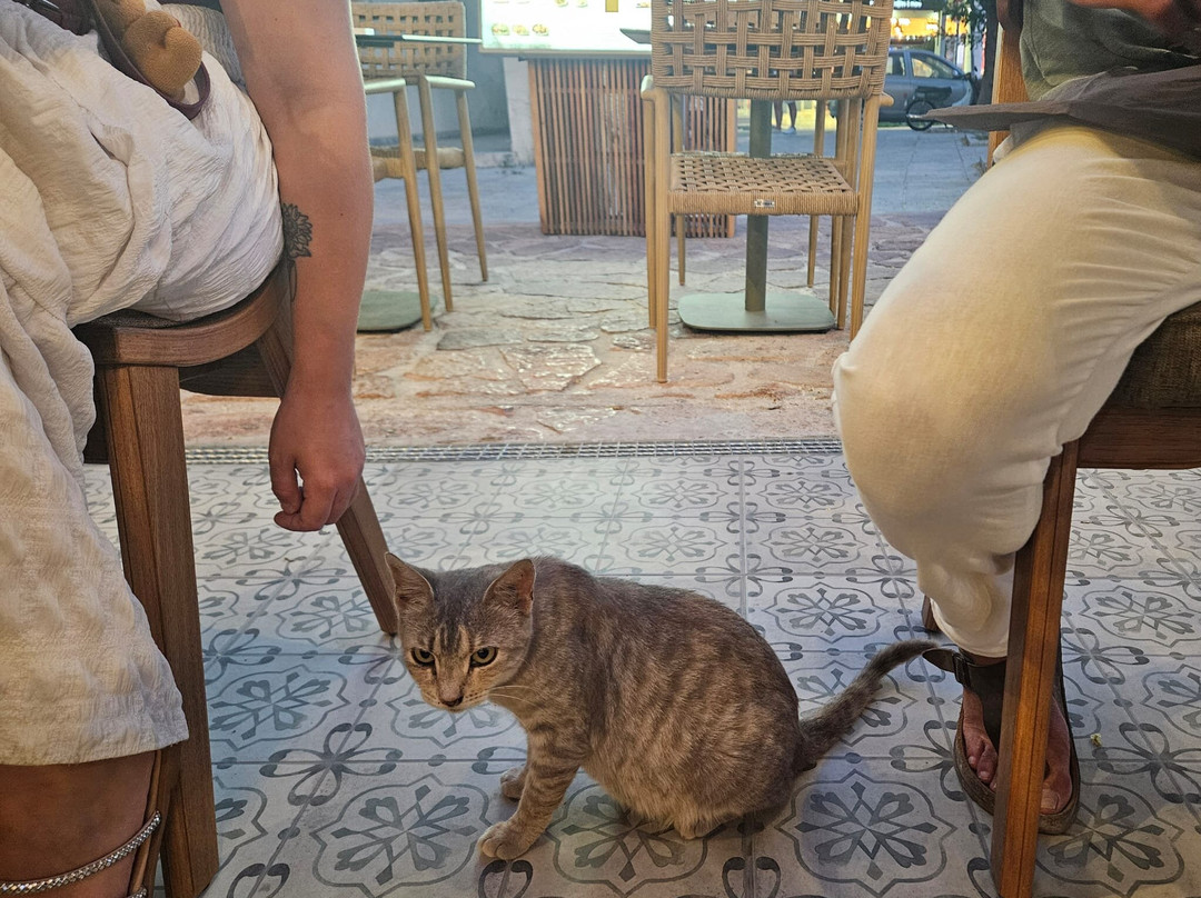 Dalaveri