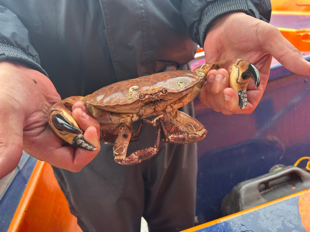 Gairloch Glass Bottom Boat Cruises-盖尔洛赫必去景点