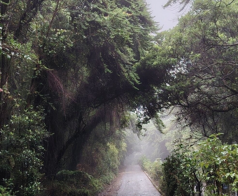 Poas Volcano-Poas Volcano National Park必去景点