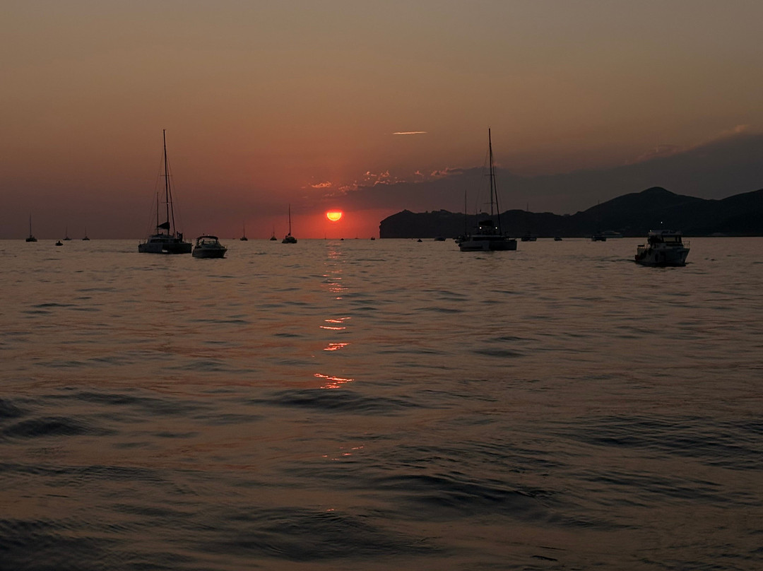 Barca Sailing-维查德必去景点