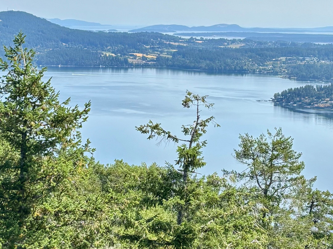 Malahat Skywalk-Malahat必去景点