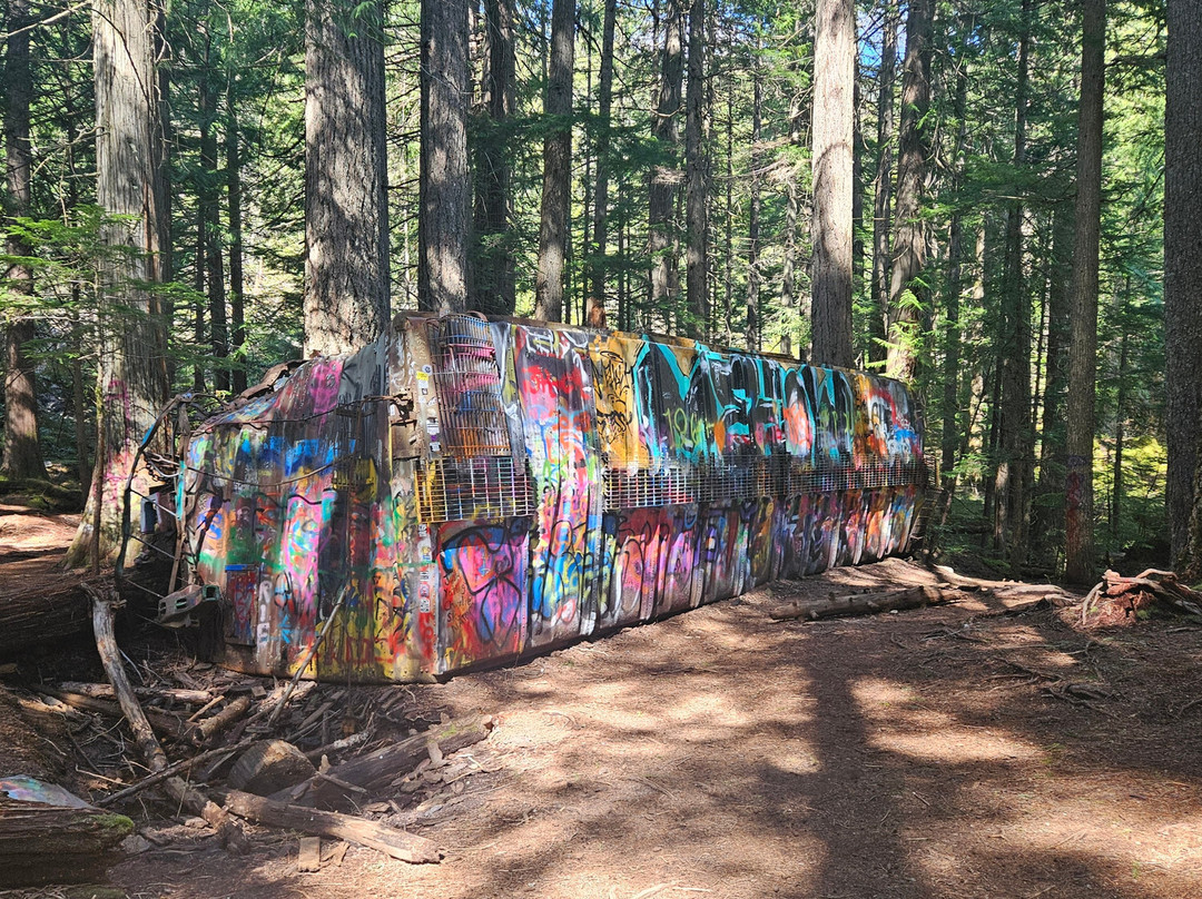 The Whistler Train Wreck Trail-惠斯勒必去景点