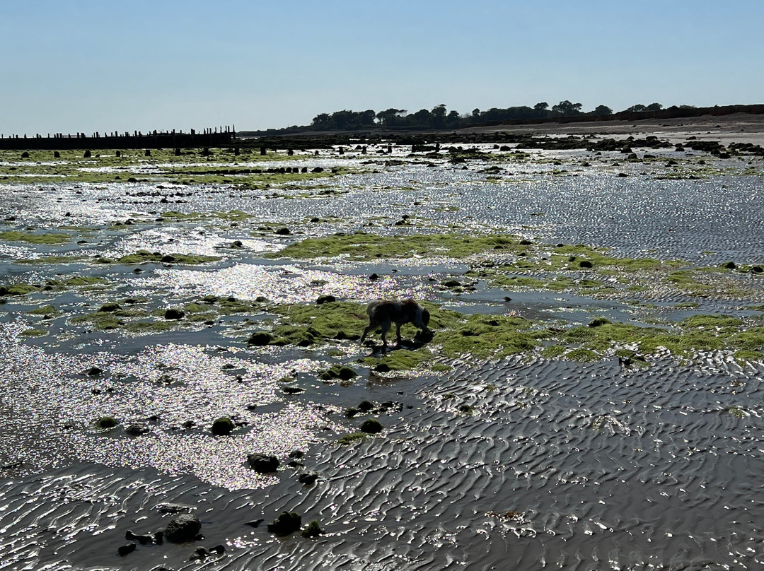 Climping Beach