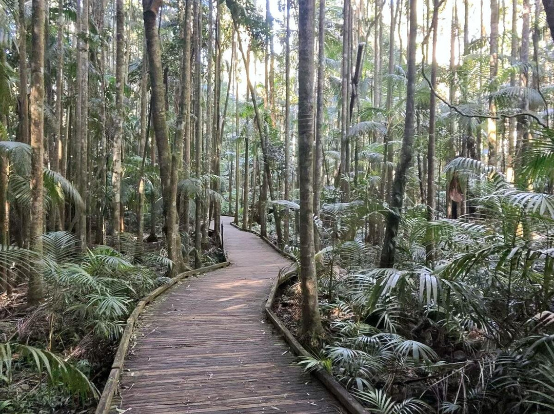 Mary Cairncross Scenic Reserve-马莱尼必去景点