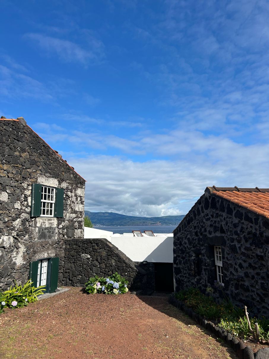Pocinho Bay-旅行者