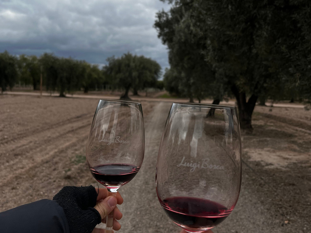 Finca El Paraíso - Bodega Luigi Bosca-Maipu必去景点