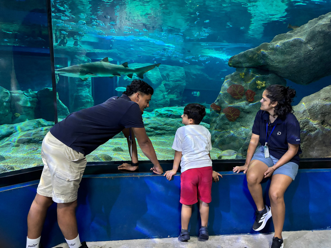 Odysseo Oceanarium Mauritius-路易士港必去景点
