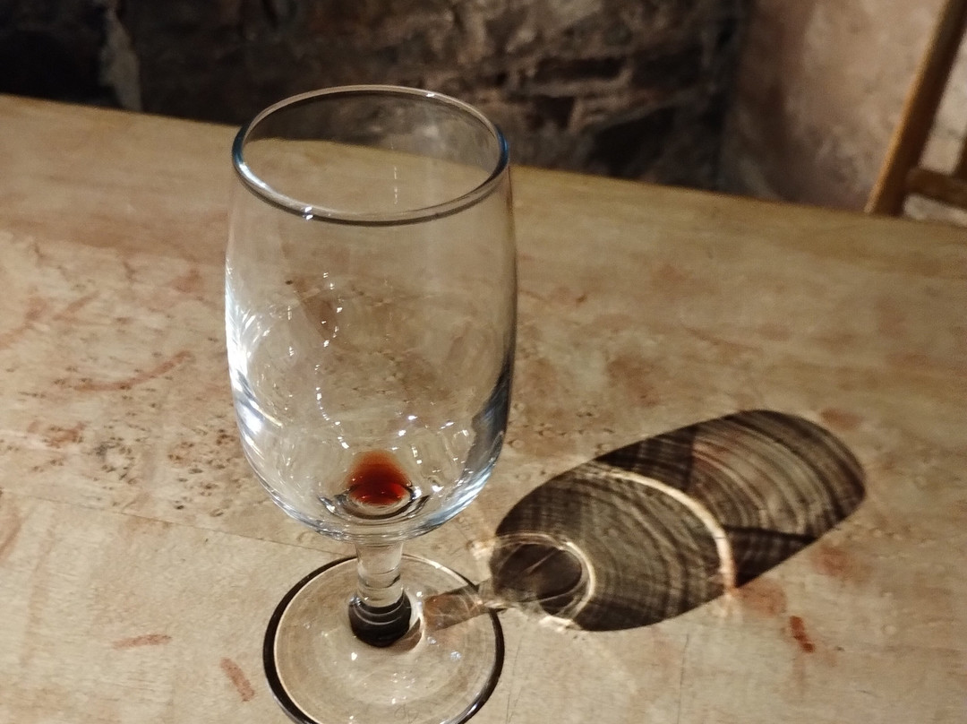 Newman Wine Vaults-圣约翰必去景点