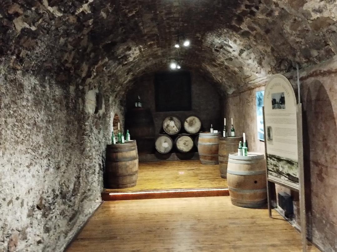 Newman Wine Vaults-圣约翰必去景点