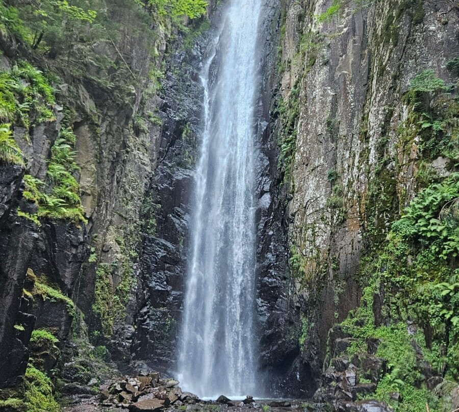 Cascata del Lupo-Bedollo必去景点