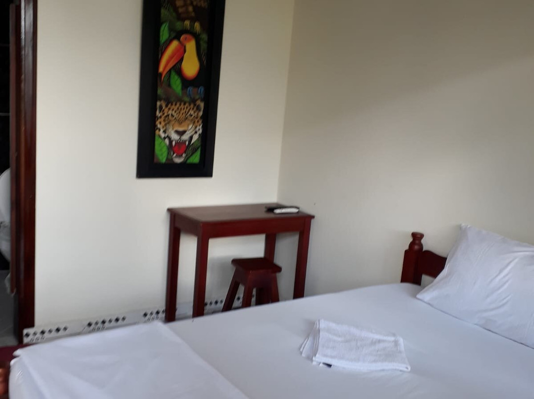 Amaselva Tours - Colombia Amazon-莱蒂西亚必去景点