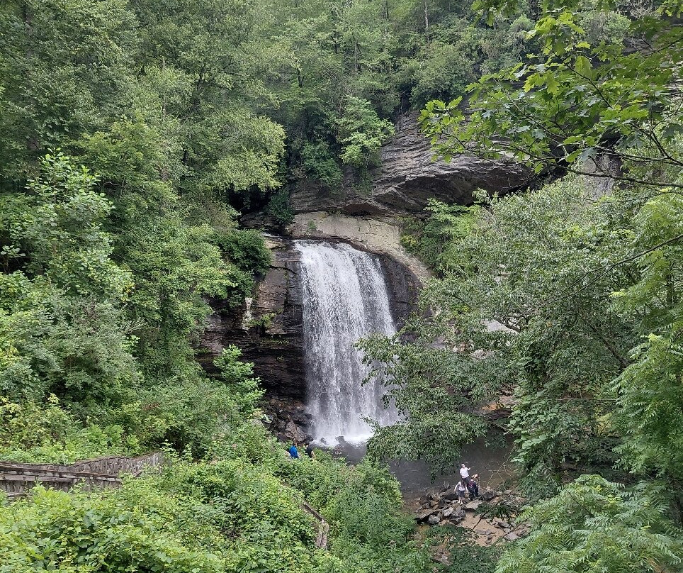 Looking Glass Falls-Pisgah Forest必去景点