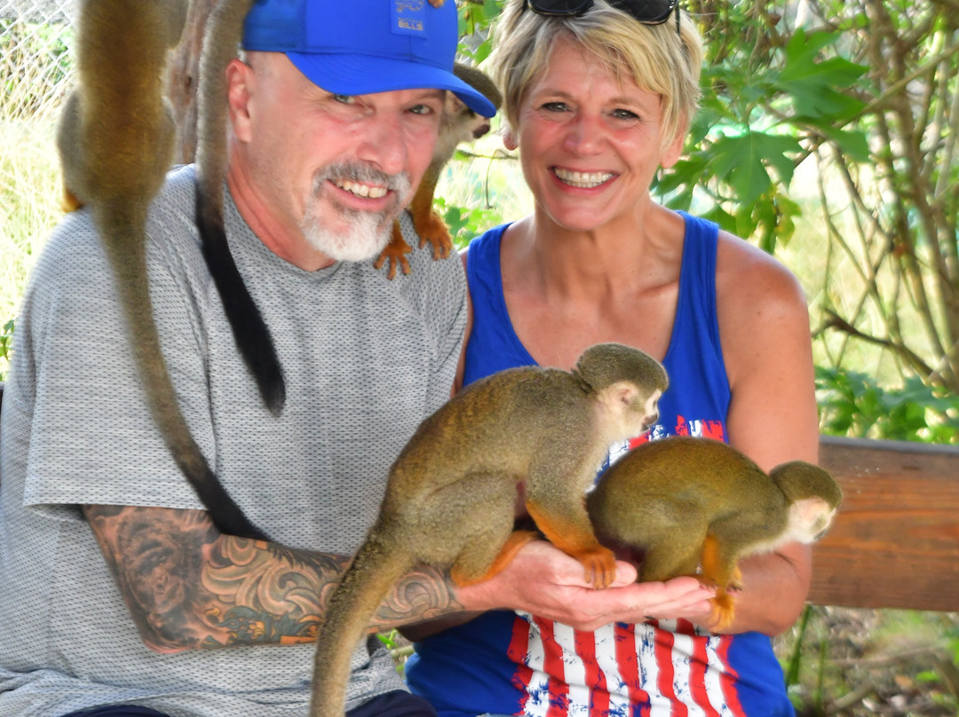 Monkey Home Puerto Plata-普拉塔港必去景点