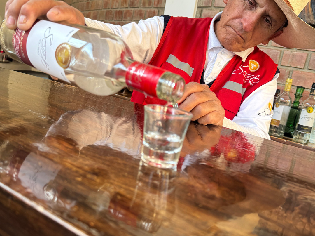 Bodega Y Viñedo Sotelo-伊卡必去景点