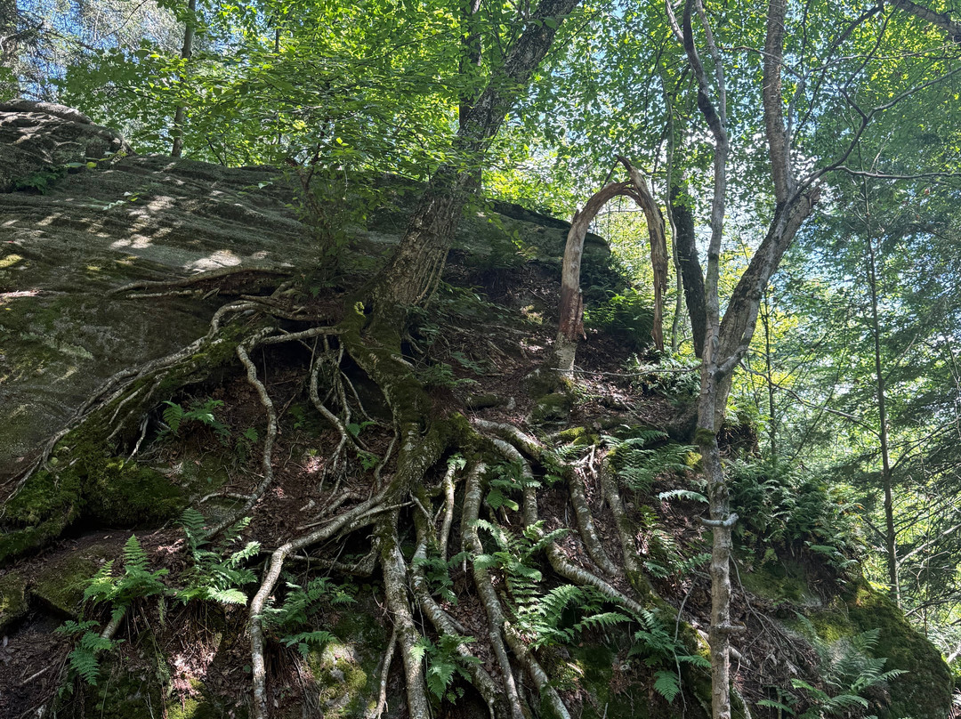 Panama Rocks Scenic Park-Panama必去景点