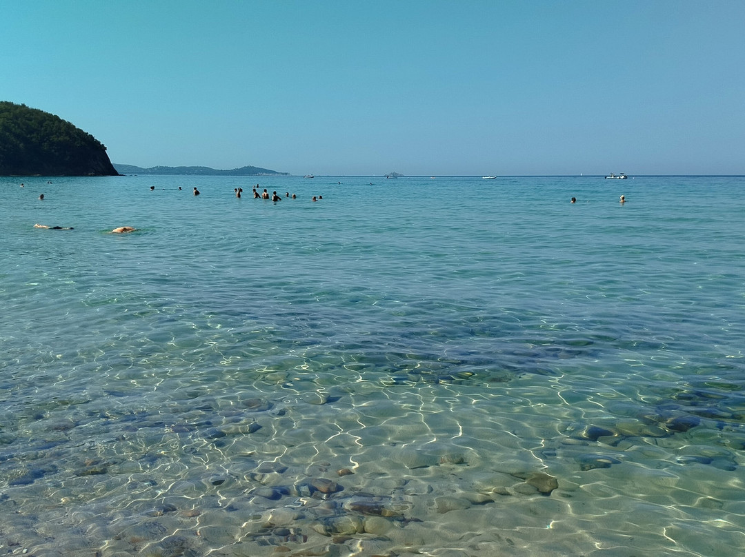Cala Violina Scarlino-斯卡尔利诺必去景点