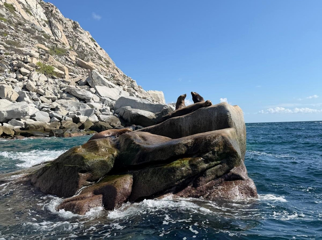 Cabo Pulmo Beach Resort主图